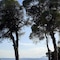 Elivi Skiathos - map