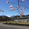 Nikko Toshogu Koyoen - map