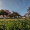Gratsias Luxury Apartments - map