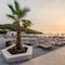 Apartments Arla Exclusive - map