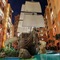 1Br Pool View Seven Seas Jomtien - map