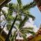 Royal Level At Occidental Cozumel - All Inclusive - map