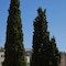 The Artist Athens - map