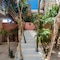 Casa Coyote Tulum - map