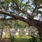 Krabi Home Resort - map