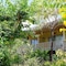 Lahana Resort Phu Quoc & Spa - map