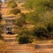 Rhino Walking Safaris - map