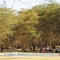 Africa Safari Lake Manyara - map