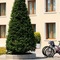 Best Western Titian Inn Hotel Treviso - map