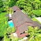 Gili Buana Hostel & Backpackers - map