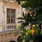 Q92 Noto - map