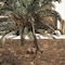 Asty Mykonos Hotel & Spa -World Of One Hotel Group - map