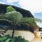 Koro Sun Resort And Rainforest Spa - map
