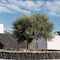 Santa Irina Sunny Loft Suites - map