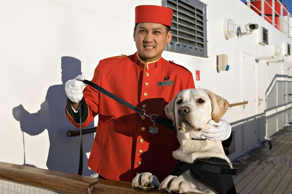 QM Servicio