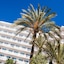 Globales Palmanova