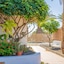 Apartamentos Isla De Lobos