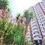 Clube Praia Da Rocha