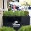 Hilton London Hyde Park