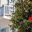 Aeolos Resort Mykonos