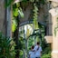 Pueblo Bonito Emerald Bay Resort & Spa - All Inclusive