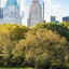 JW Marriott Essex House New York