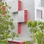 Agora Swiss Night By Fassbind
