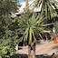 Brit Hotel Marseille Aeroport A&S
