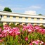 Hôtel Mount Ventùri - Restaurant Acampa