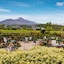 Knockranny House Hotel & Spa