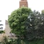 Culture Hotel Villa Capodimonte