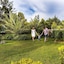 Otium Family Stone Palace