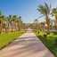 Calimera Blend Paradise