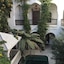 Riad Dar El Assafir