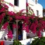 Anna Traditional Apartments