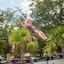 Calypso Cay Vacation Villas