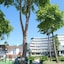 Hotel Drim & Spa