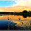 Phakalane Golf Estate Hotel Resort