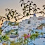 Armeni Village Rooms & Suites