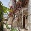 Mila Malia Studios Hotel
