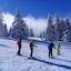 Chalet Hotel Du Bois