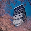 Mandarin Oriental, Tokyo