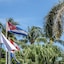 Hotel Tuxpan Varadero