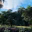 Orquideas Palace