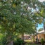 The Kimberley Grande Resort