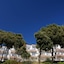 Splendid Resort