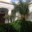 Riad Al Assala