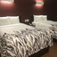 Red Roof Inn Plano