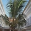Hotel Da Luz