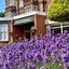 Orwell Hotel